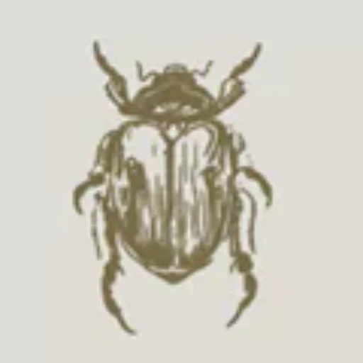 Julia Bianchi Estudio